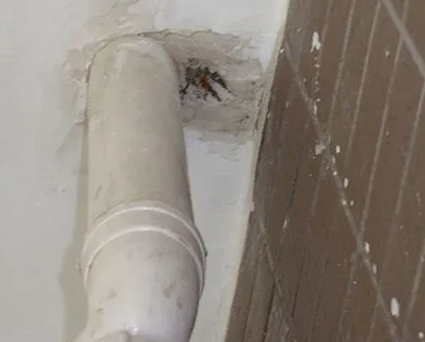 沁水漏水检测哪家好